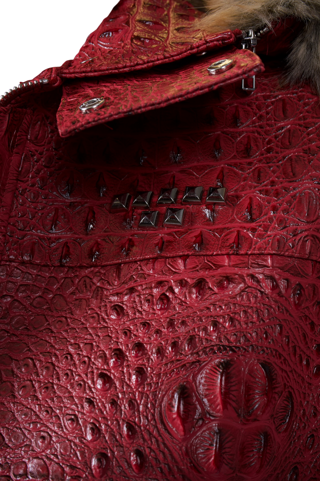 CROCODILE JACKET